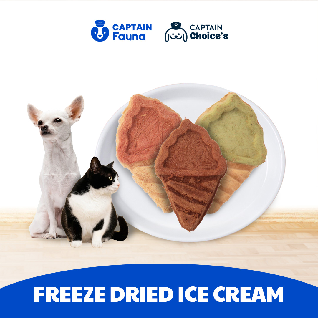 Freeze Dried Ice Cream Dog Cat Snack Anjing Kucing